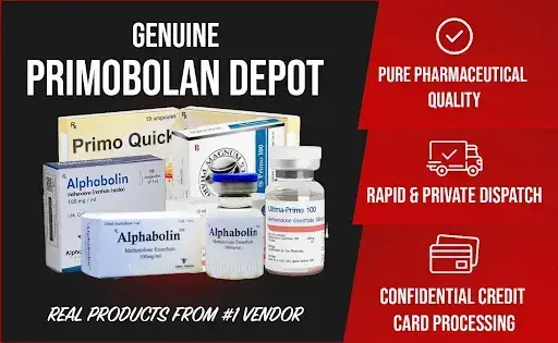 Primobolan Cycle for women