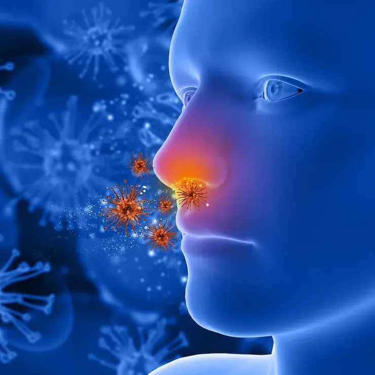 Is Sinus Infection Contagious