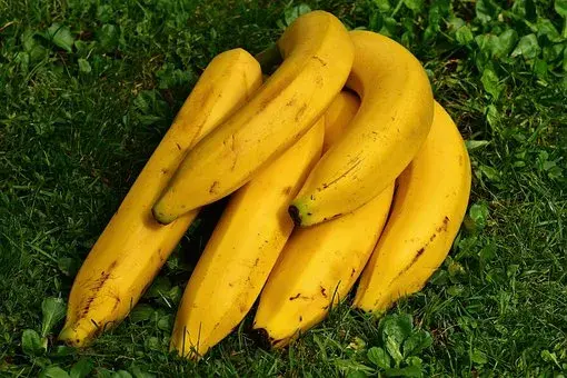 Banana: healthiest breakfast