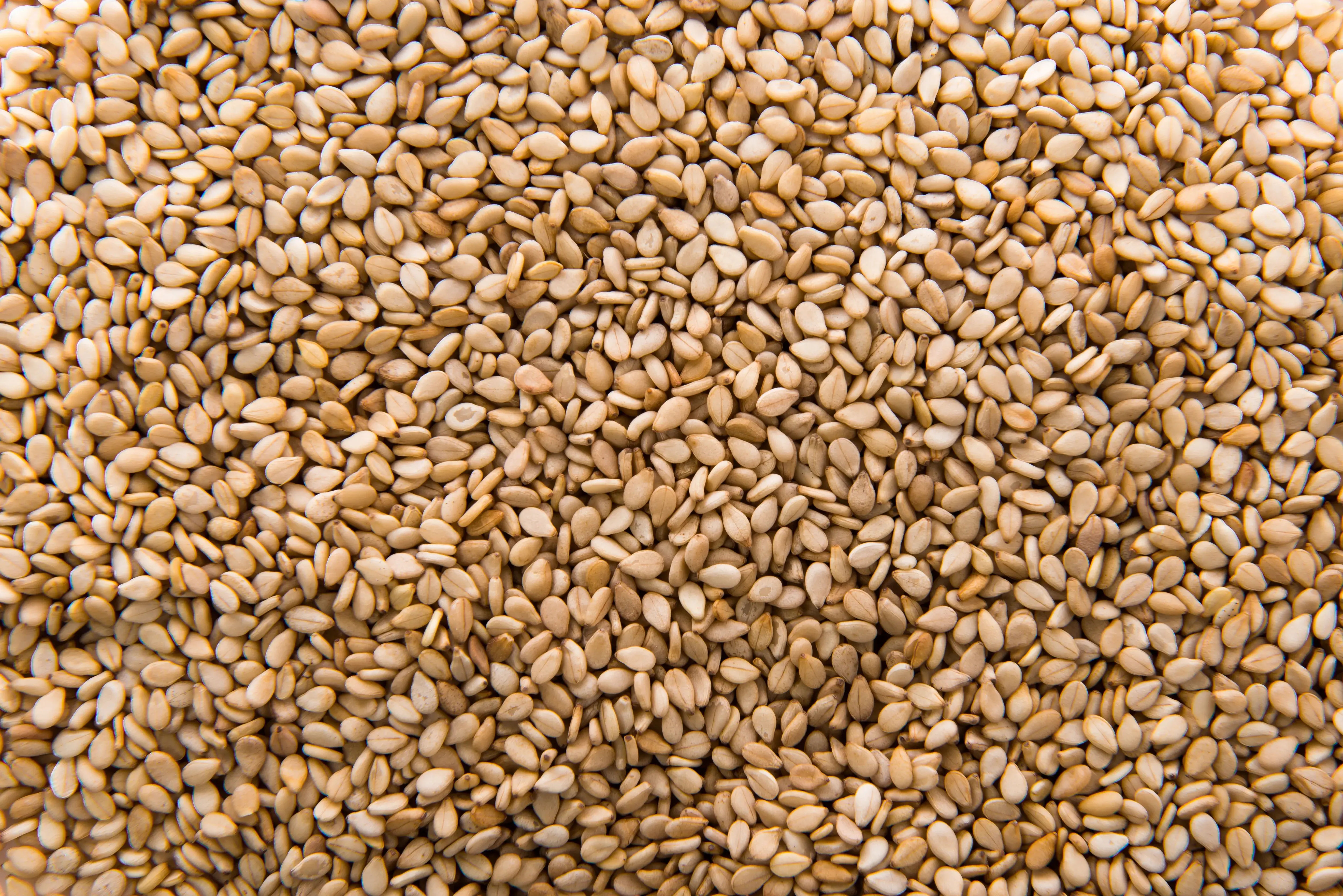 Sesame seeds