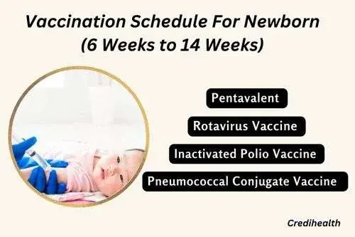 Vaccination Schedule for Newborn