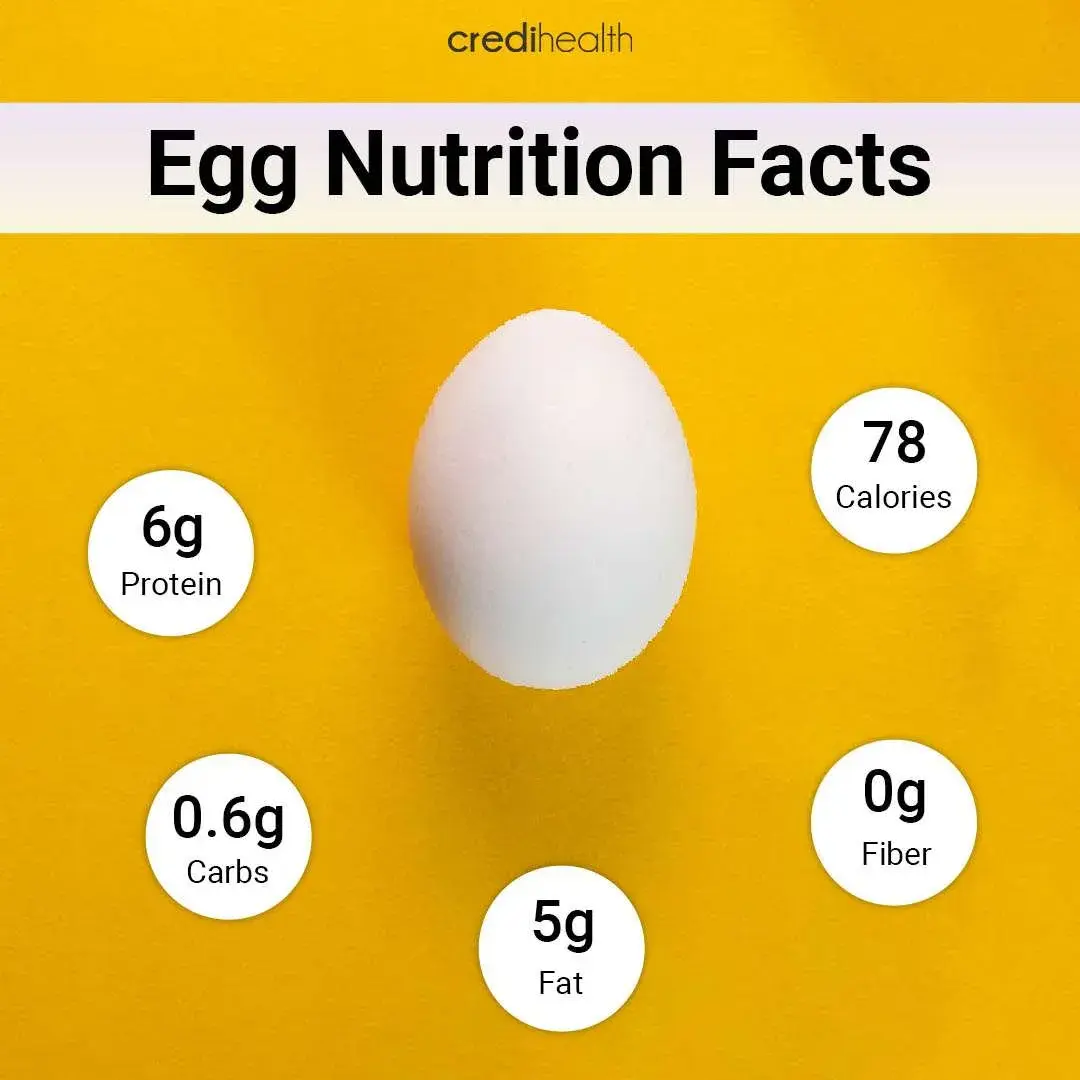 nutritional profile of an egg