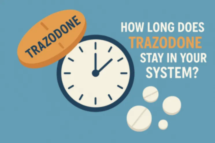 How Long Does Trazodone Stay in Your System? A Complete Guide for Duration