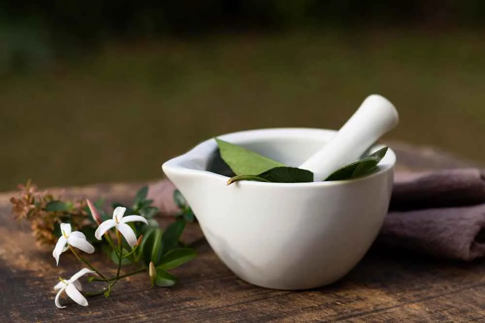 Unlocking the Body’s Natural Wisdom Throu...