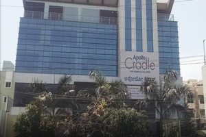अपोलो क्रैडल, ब्रुकफील्ड