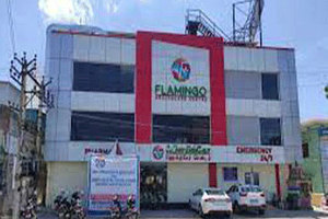 Flamingo Healthcare Centre, Ambattur, Chennai