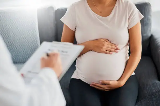 Pregnancy in Hindi