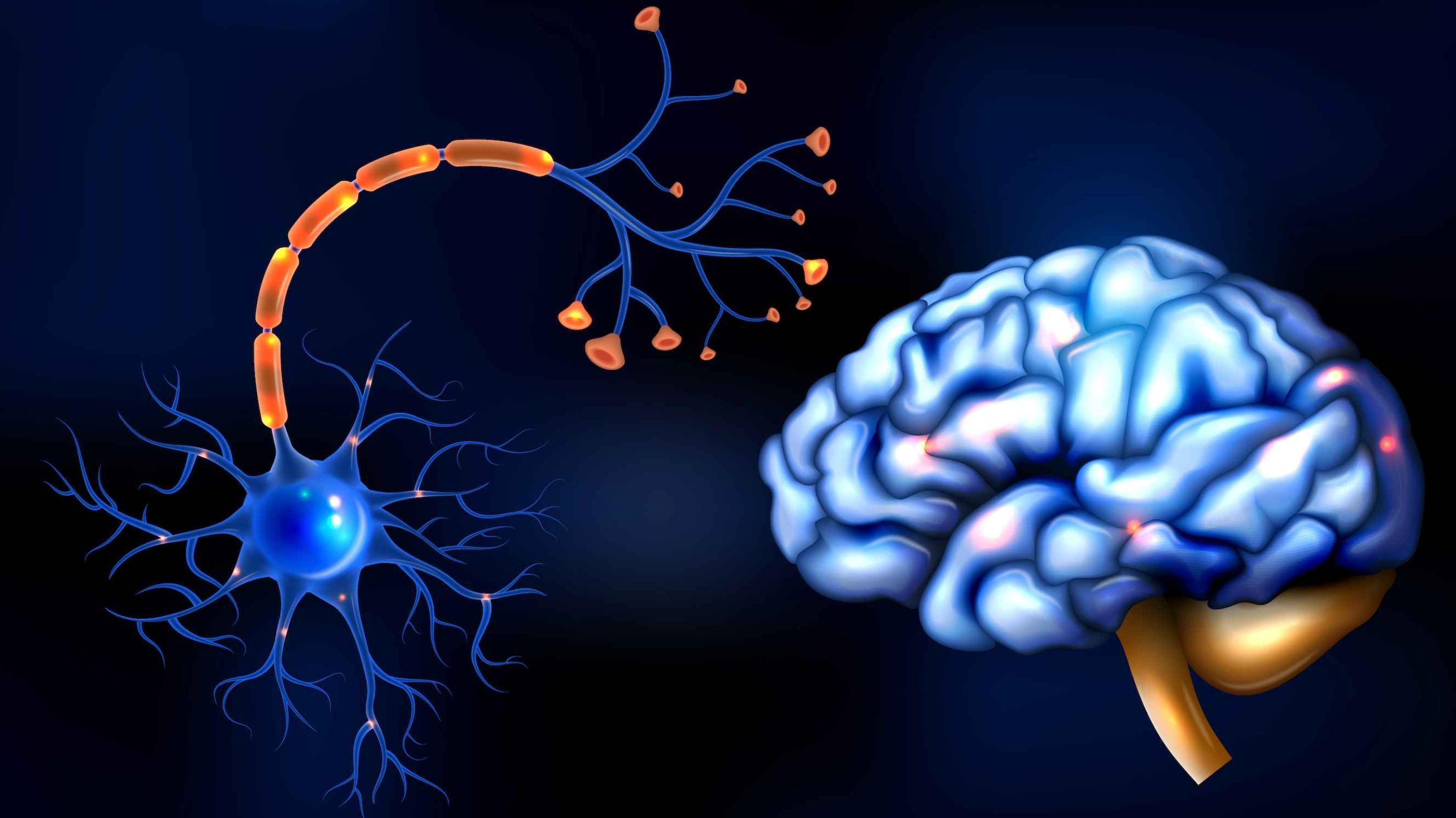 motor-neuron-disease-in-hindi