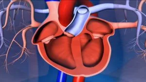 symptoms of heart attack in hindi