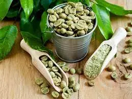 Green coffee benefits in Hindi