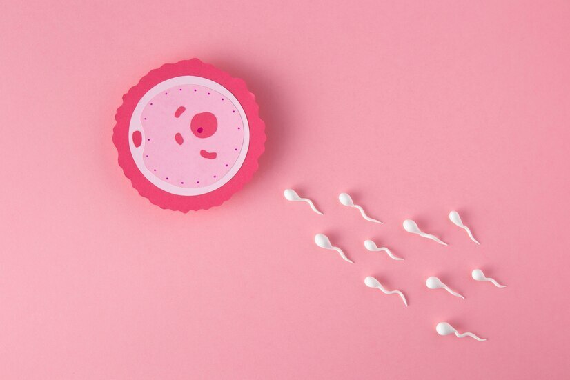fertility