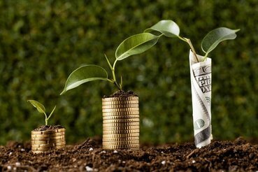 Planting the Seeds of Healthcare Revenue
