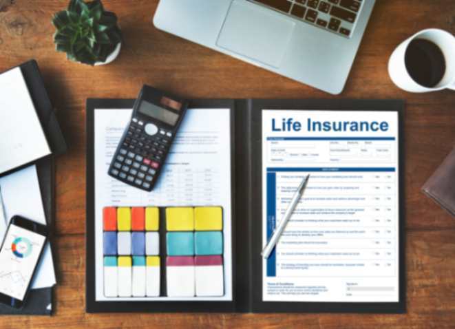 term insurance plan