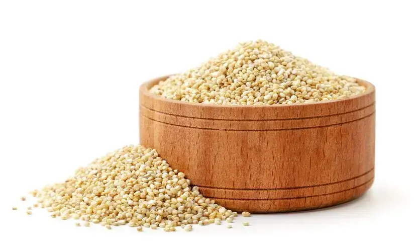 quinoa in hindi