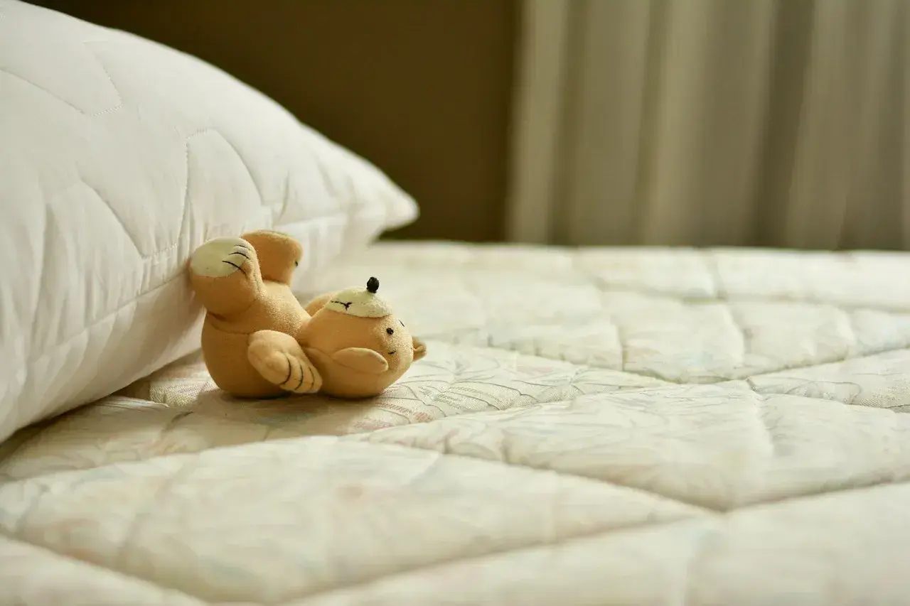 Buy Orthopedic Mattress Online for Back Pain