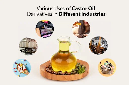 Various Uses of Castor Oil Derivatives in...