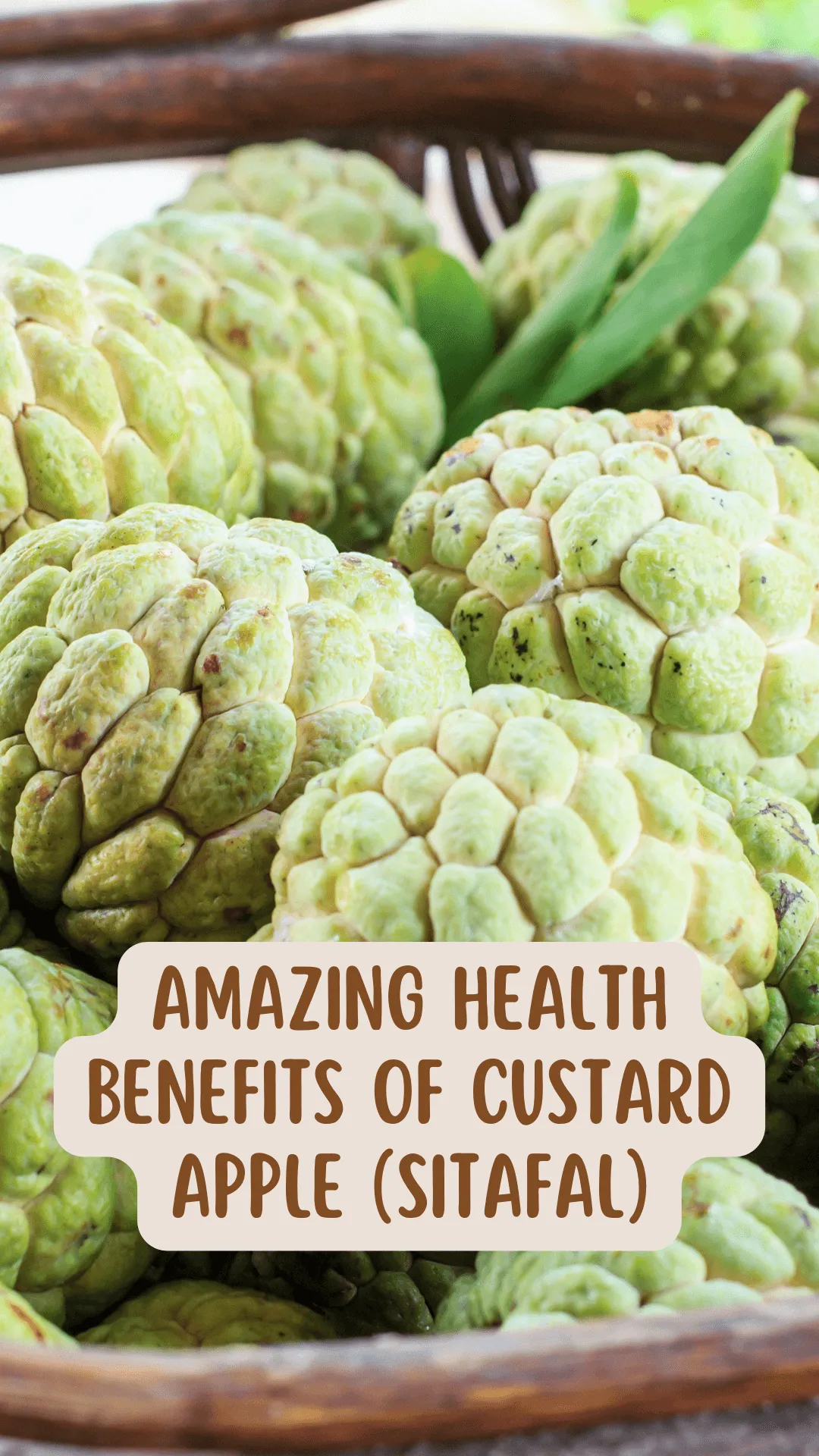 Amazing Health Benefits of Custard Apple (Sitafal)
