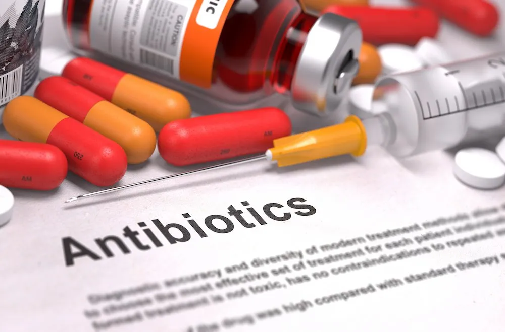 What are Antibiotics? Understand All You ...