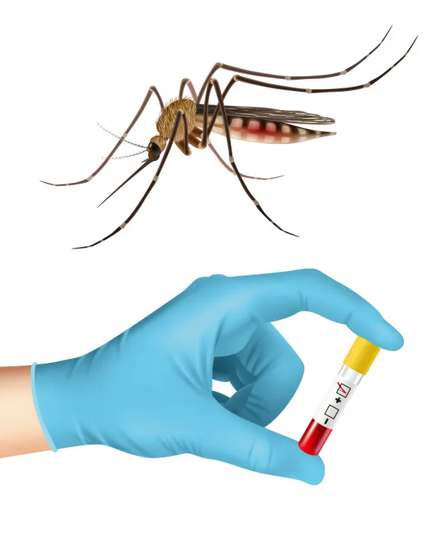 Blood Tests & Lab Investigations for Dengue Fever