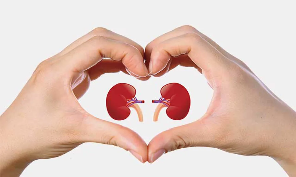 8 Symptoms of Kidney Infection & Disease You Must Know About