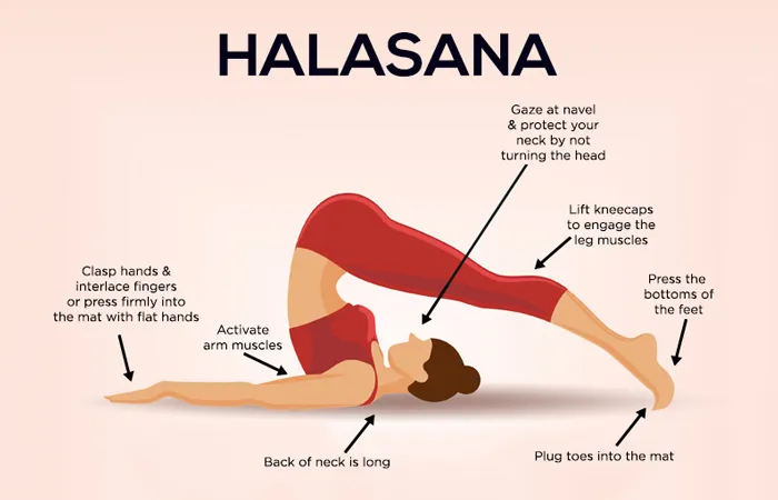 Halasana: For Better Digestion & Healthy ...