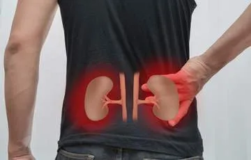 Chronic Kidney Disease Symptoms, Stages a...