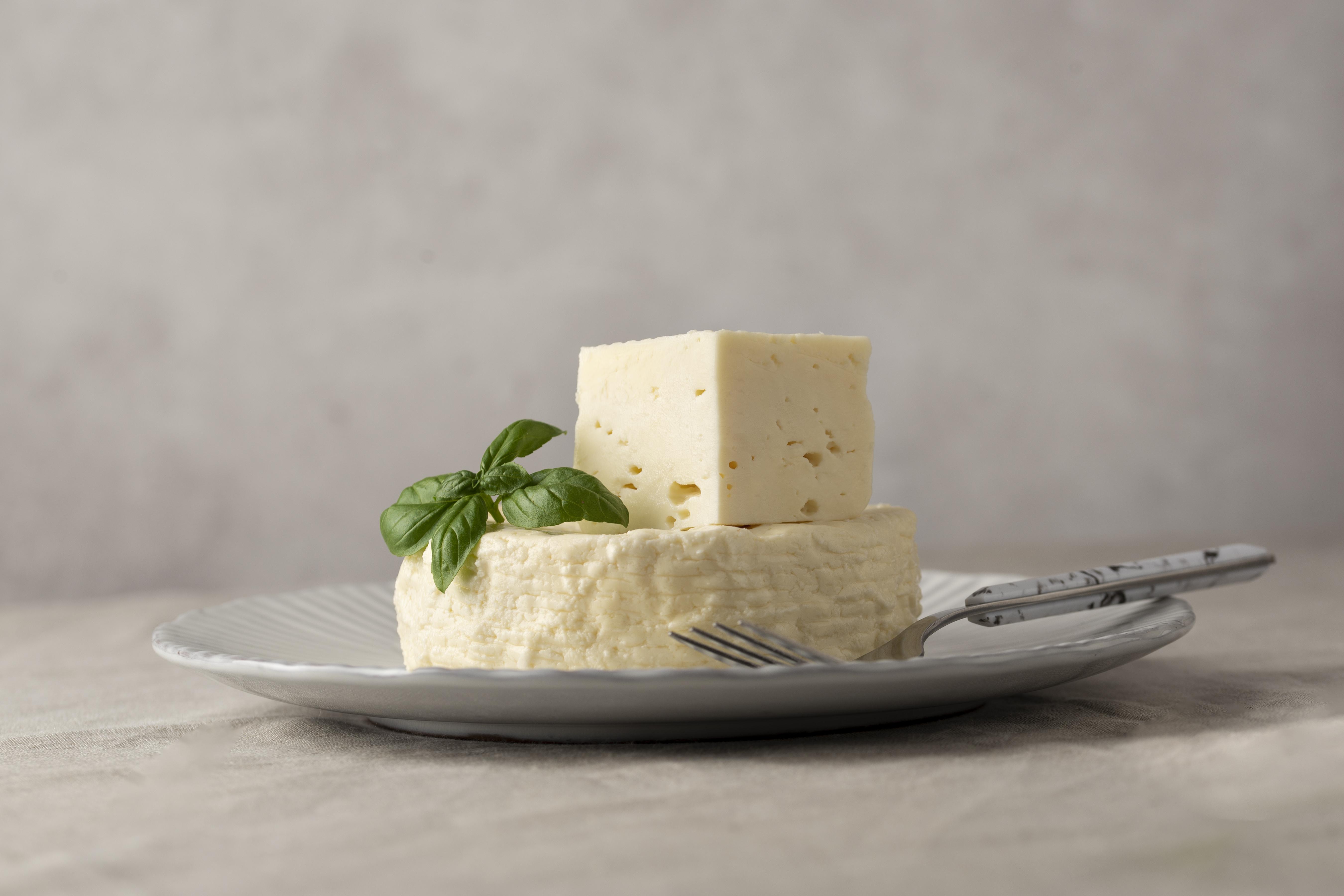 Cottage Cheese or Paneer - Probiotic Indian foods