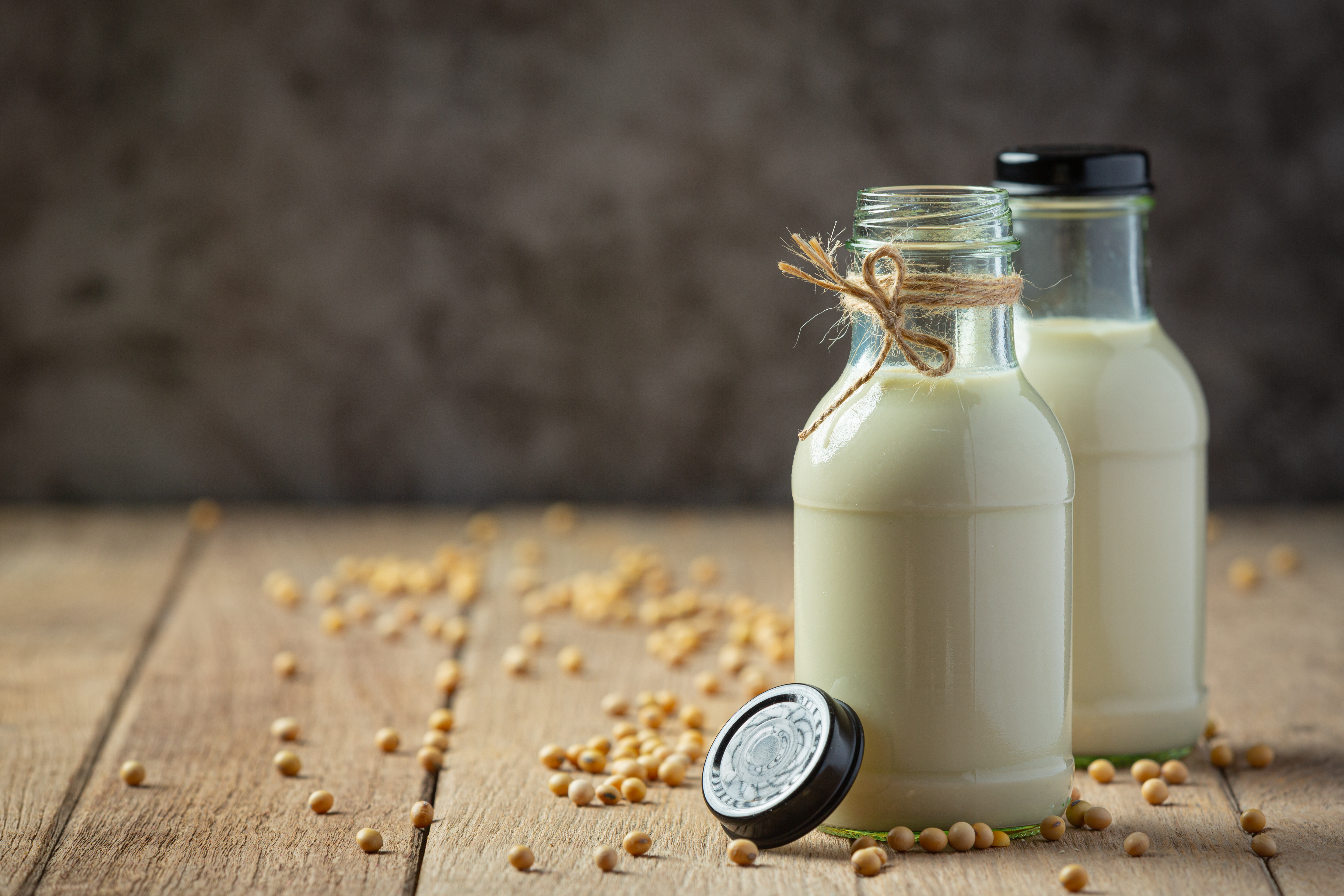 Soy Milk - Probiotic Indian foods