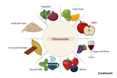 Flavonoids - treatment for an ulcer in stomach