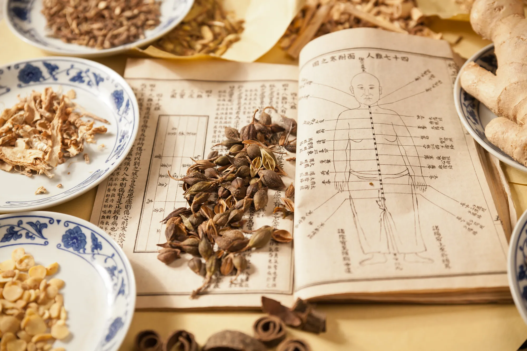 A Guide To Traditional Chinese Medicine