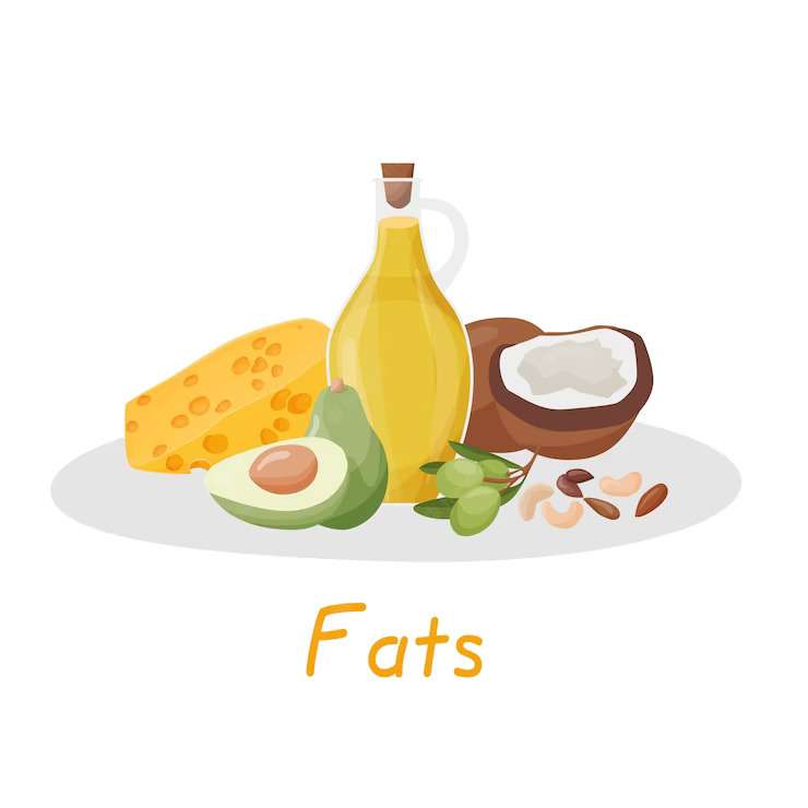 Fats - Atkins Diet plan 