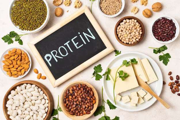 Protein - Atkins Diet plan 