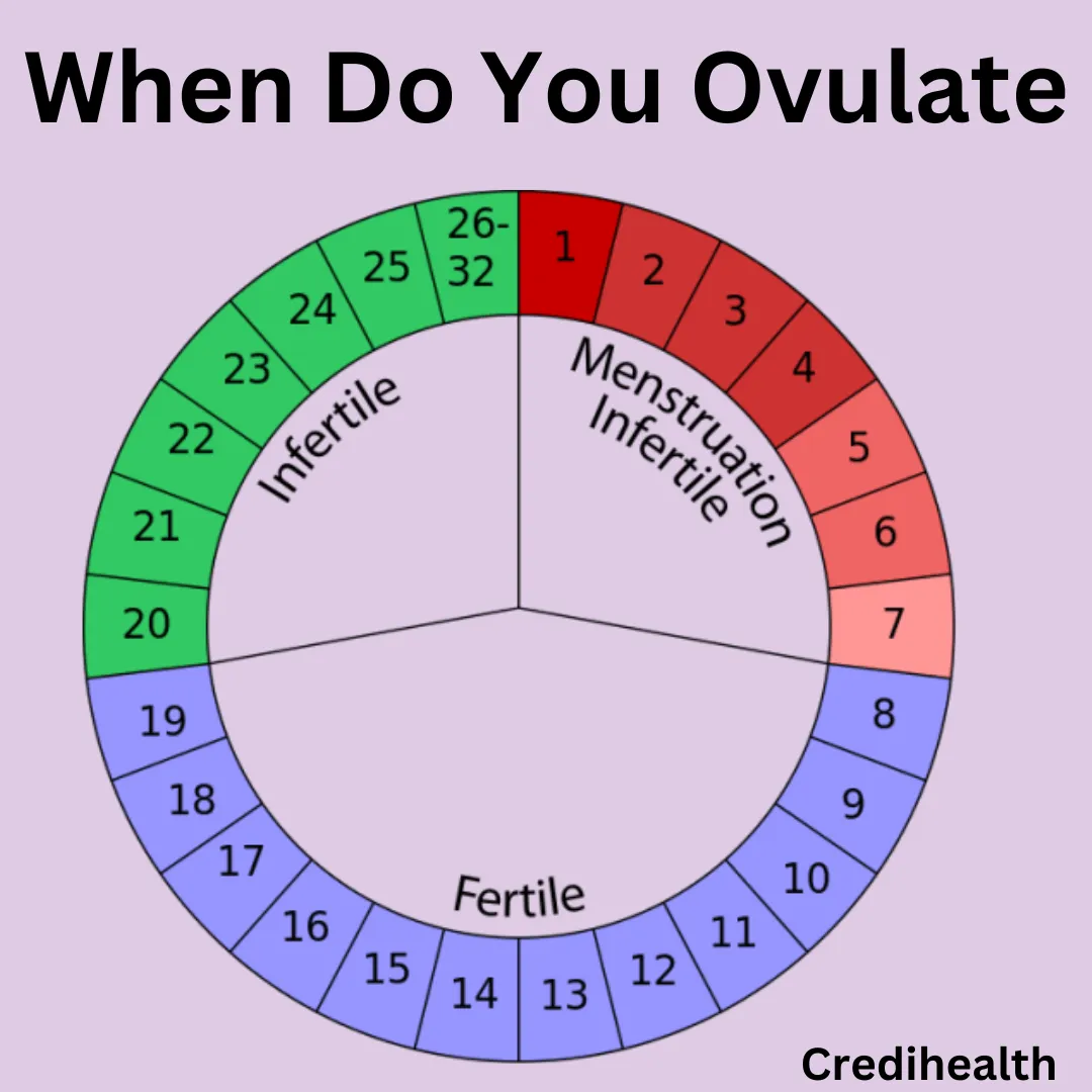 When do You Ovulate: Signs and Symptoms to Look For.