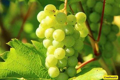 Grapes - how to reduce inflammation in the body fast