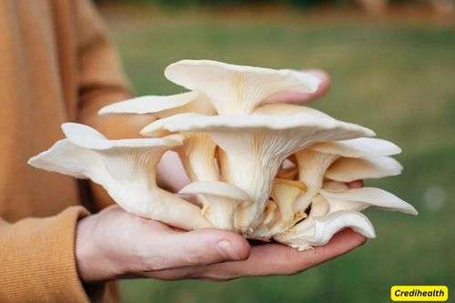 Mushrooms - how to reduce inflammation in the body fast